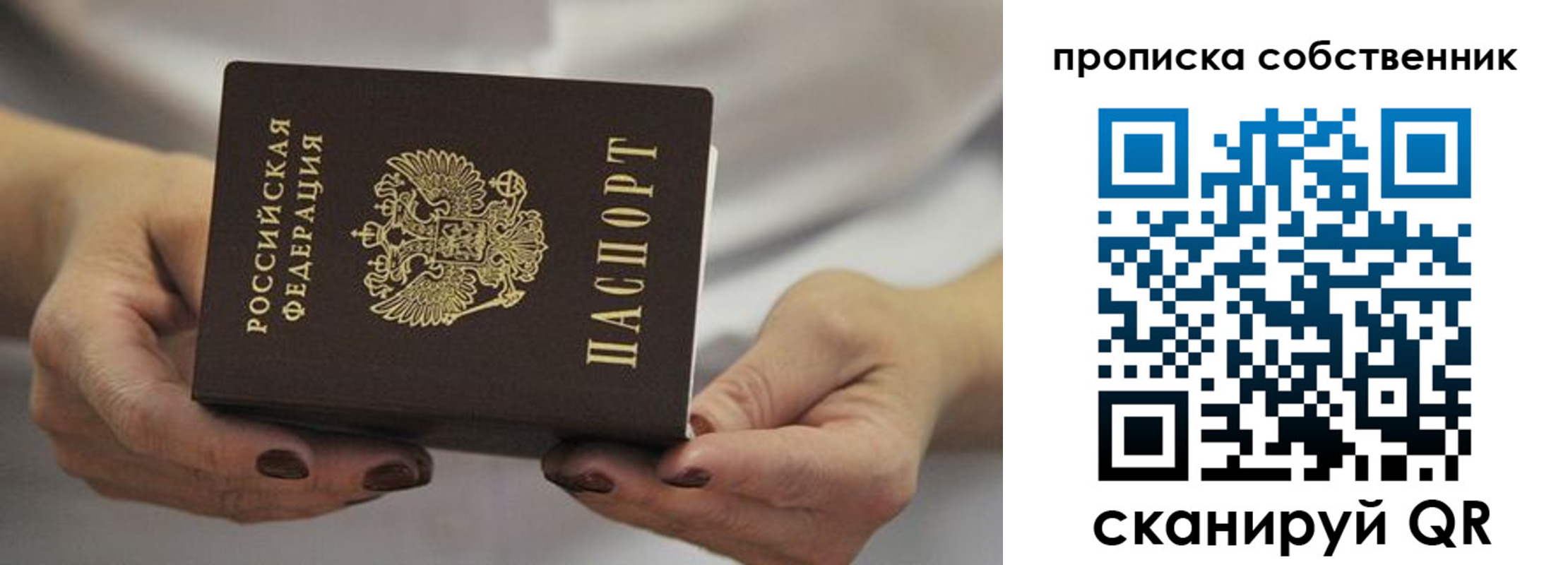 прописка поиск в Ростове